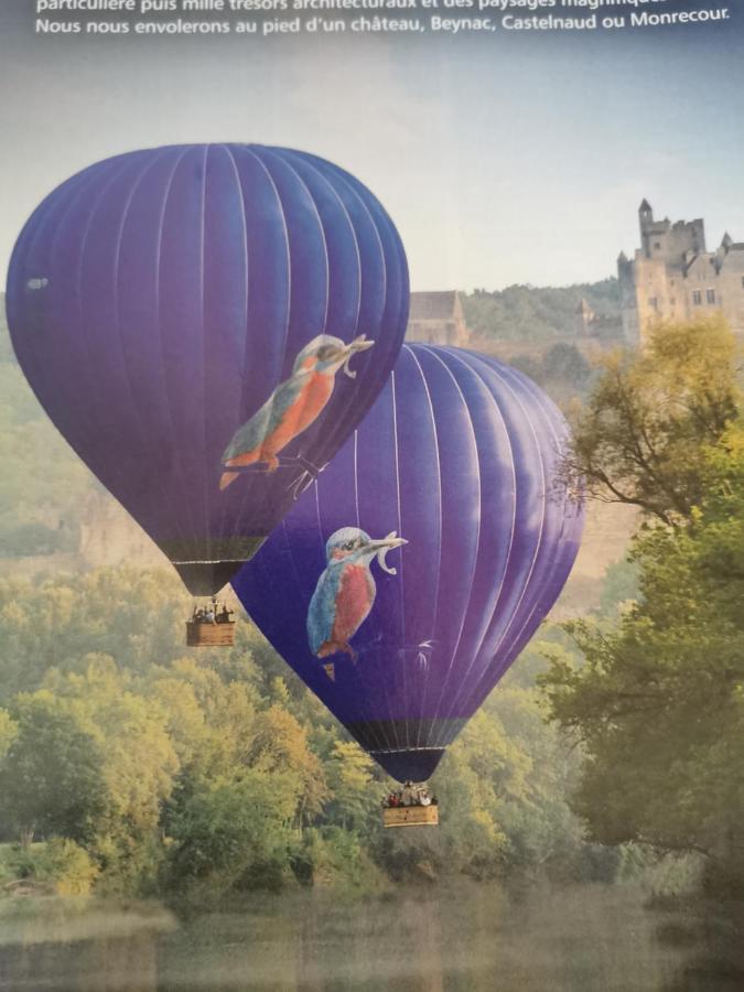 Saint-Andre-d'Allas La Borie Du Bois Sarlat Bed & Breakfast エクステリア 写真