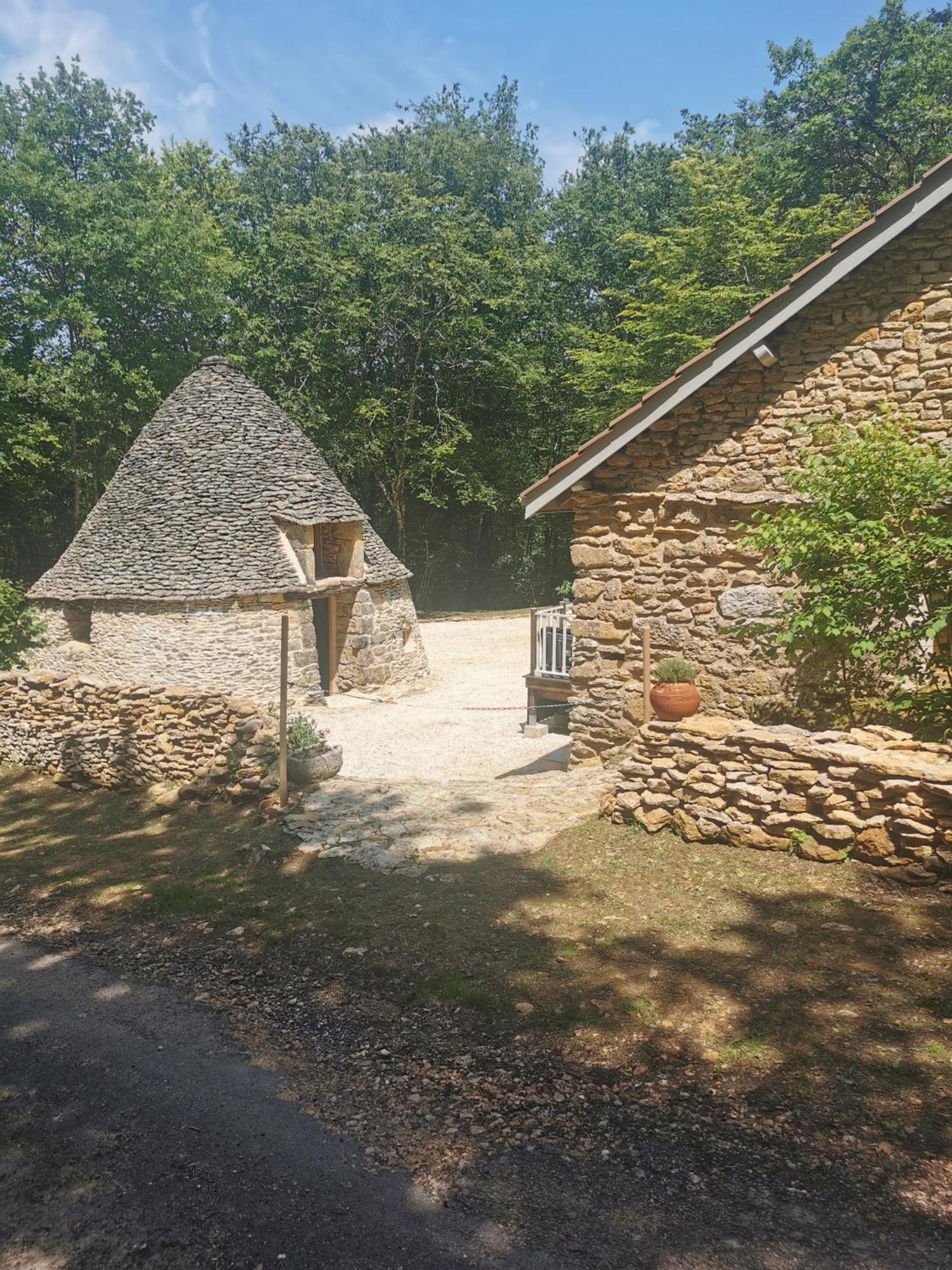 Saint-Andre-d'Allas La Borie Du Bois Sarlat Bed & Breakfast エクステリア 写真