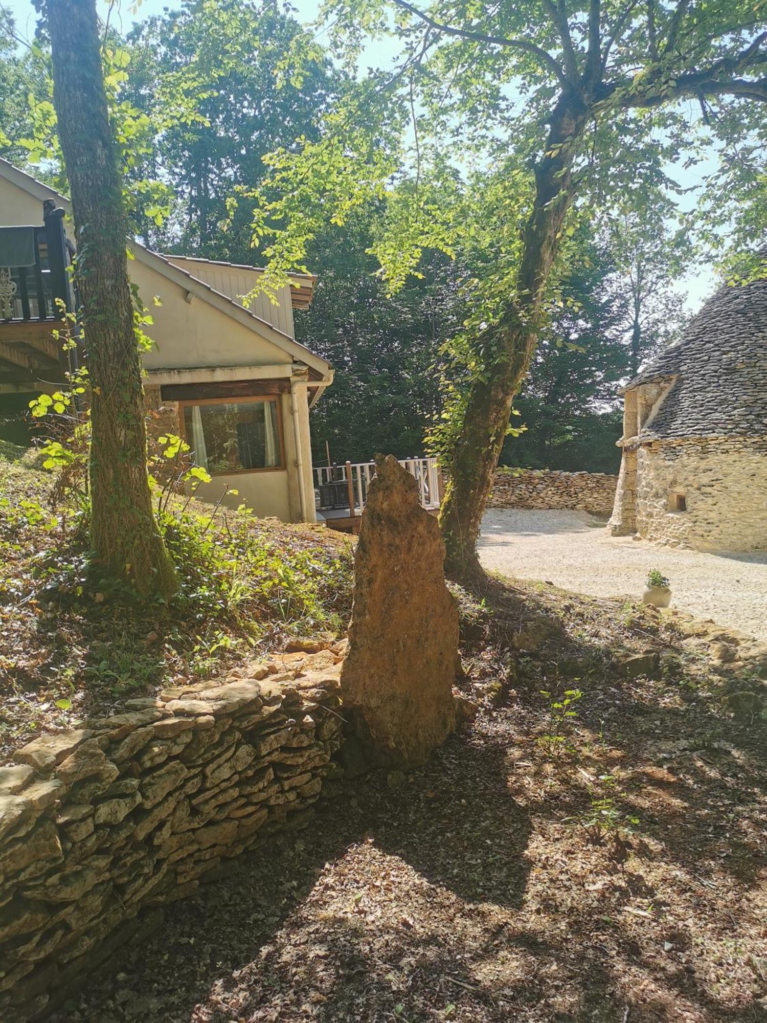 Saint-Andre-d'Allas La Borie Du Bois Sarlat Bed & Breakfast エクステリア 写真
