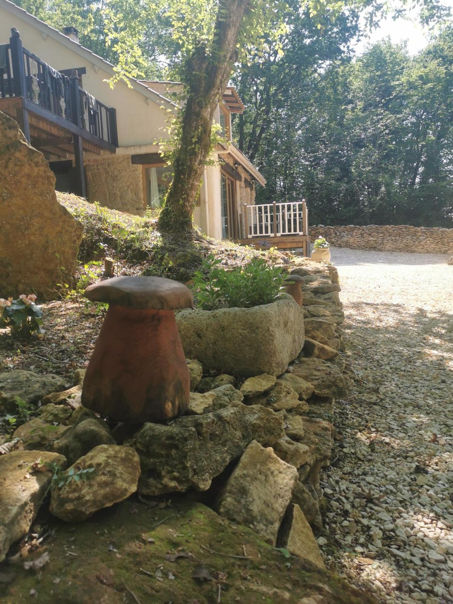 Saint-Andre-d'Allas La Borie Du Bois Sarlat Bed & Breakfast エクステリア 写真